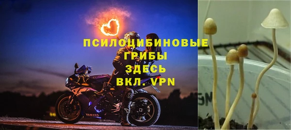 ALPHA PVP Бугульма