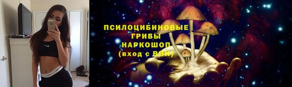 твердый Армянск