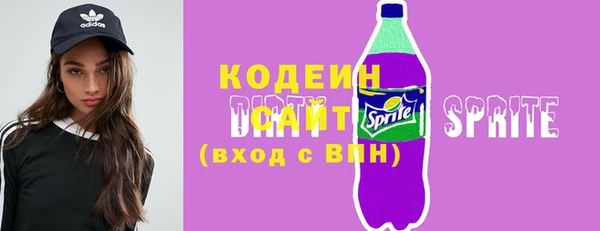 хмурый Бородино