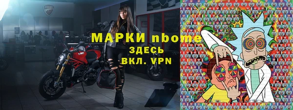 хмурый Бородино