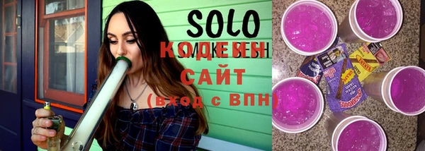 хмурый Бородино