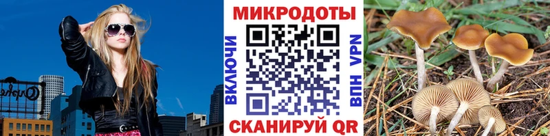 купить наркотик  ссылка на мегу вход  Галлюциногенные грибы MAGIC MUSHROOMS  Новый Оскол 